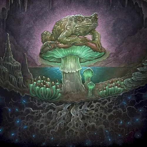 Mycelium Network