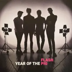 Year of the Pig