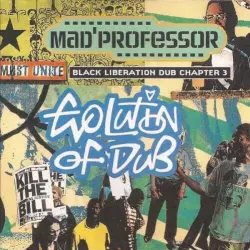 Black Liberation Dub, Chapter 3: Evolution of Dub