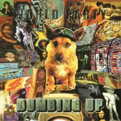 Dumbing Up