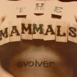 Evolver