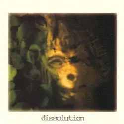 Dissolution