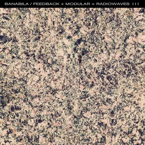 Feedback + Modular + Radiowaves III
