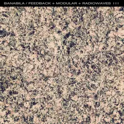 Feedback + Modular + Radiowaves III