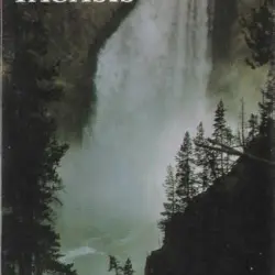Taoasis