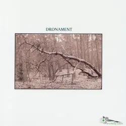 Dronament