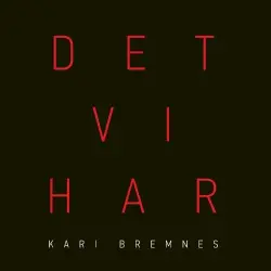 Det vi har