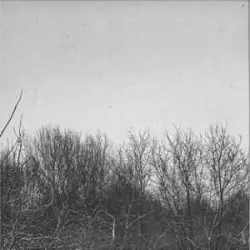 GN / Scanner