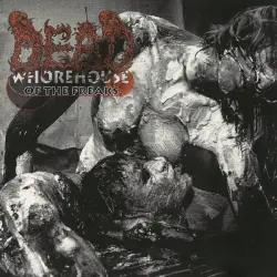 Whorehouse of the Freaks
