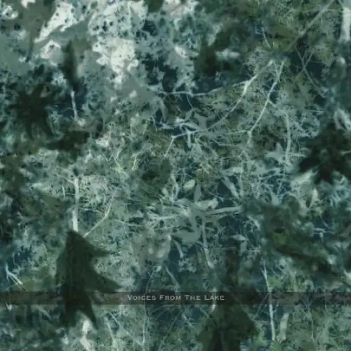 Voices From the Lake