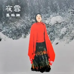 夜雪