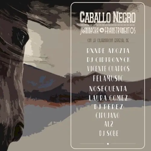 Caballo negro