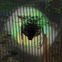 Music for Long Attention Spans, Vol. 22