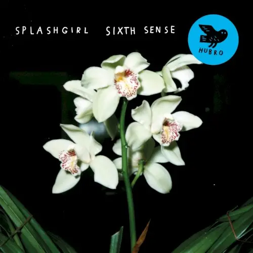 Sixth Sense