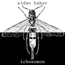 Ichneumon
