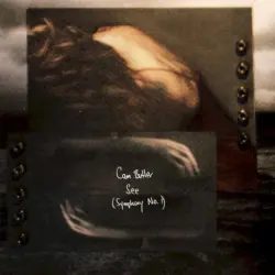 See (Symphony No. 1)