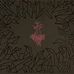 Daughters of Molestia