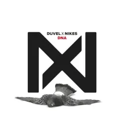 DNA