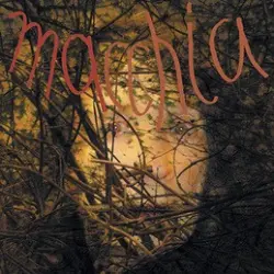 Macchia Forest