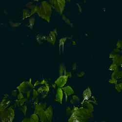 Music for Empty Flats