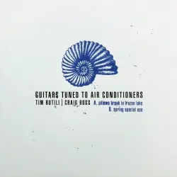 Guitars Tuned to Air Conditioners
