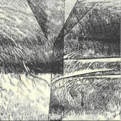 The River That Flows Into the Sands