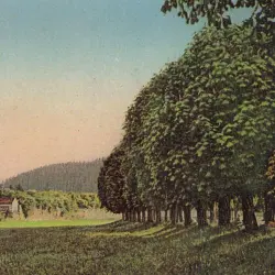 Time of Hayfield