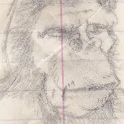 Primate