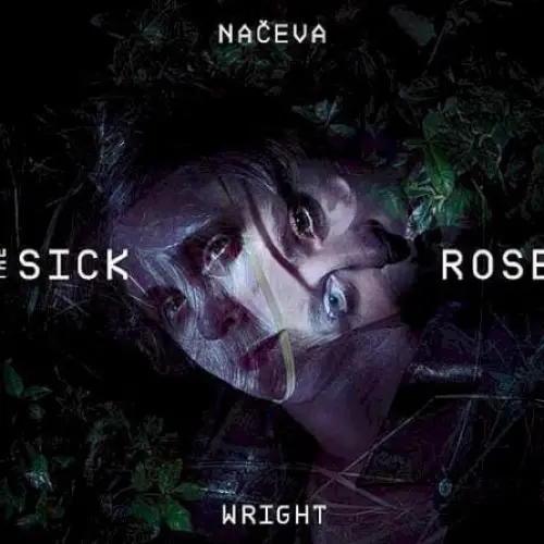 The Sick Rose
