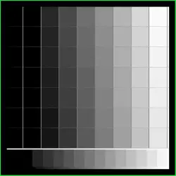 The Gray Scale (For MsW)