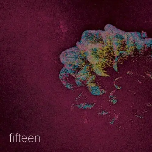 Fifteen
