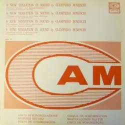 A New Sensation In Sound (Themes, Rhythmic and Abstractionisms Vol. 2)