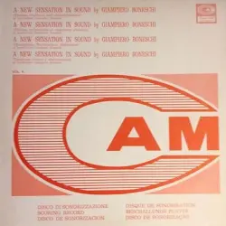 A New Sensation In Sound (Themes, Rhythmic and Abstractionisms Vol. 4)