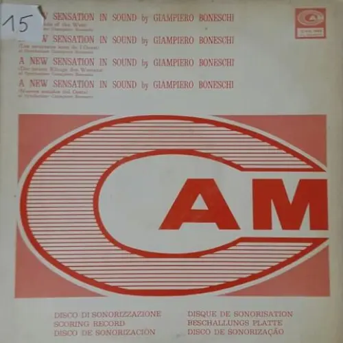 A New Sensation In Sound (New Sounds Of The West)