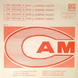 A New Sensation In Sound (Thematics, Rhythms and Abstractionisms Vol. 8)