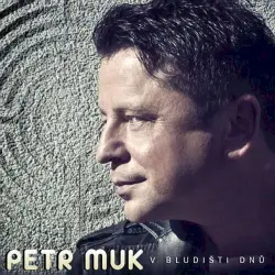 V bludišti dnů