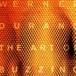 Excuse the Delay, Vol. 1: The Art of Buzzing