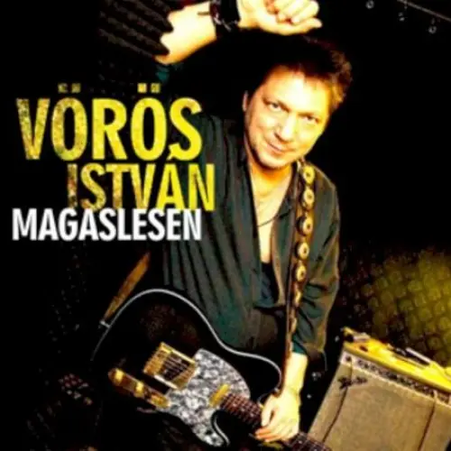 Magaslesen