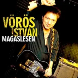 Magaslesen