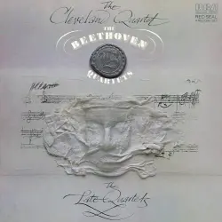 The Late String Quartets