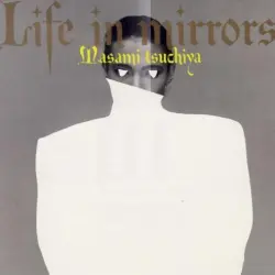 Life in Mirrors
