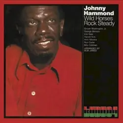 Wild Horses/Rock Steady