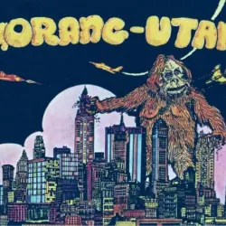 Orang-Utan
