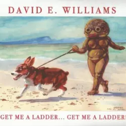 Get Me A Ladder... Get Me A Ladder!