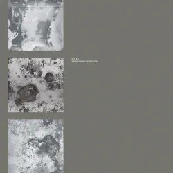 Between Darkness and White Snow