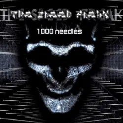 1000 Needles