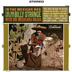 In the Mexican Bag