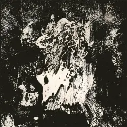 KAMI 神