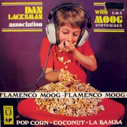 Flamenco Moog