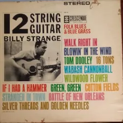 12 String Guitar